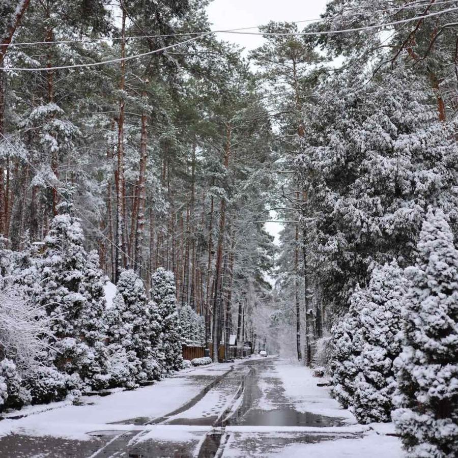Вилла Ekodom Воропаев Экстерьер фото